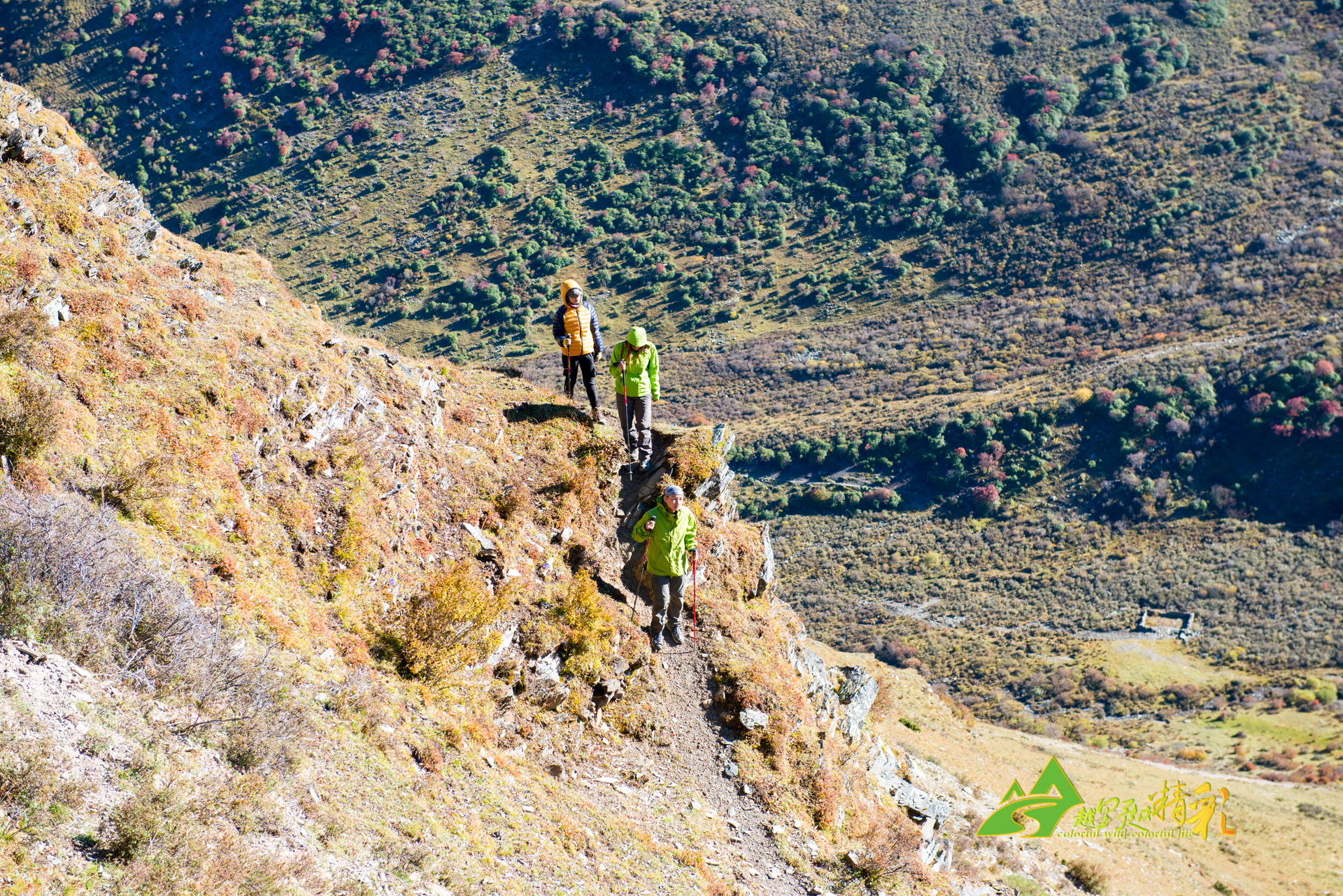 球和快节奏 球和快节奏