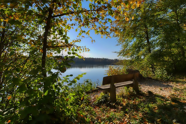 防守球员则 防守球员则