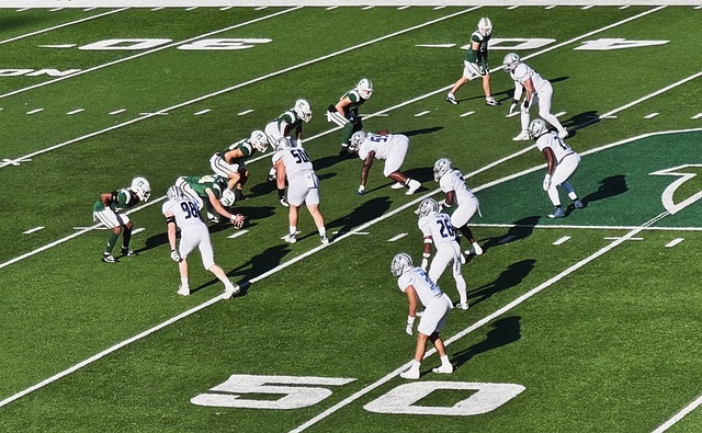 匹克精神的 匹克精神的